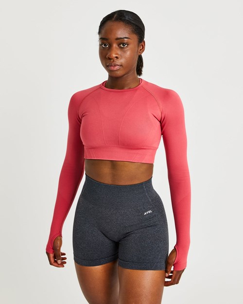 AYBL Balance V2 Seamless Long Sleeve Crop Top Rosa | 19072-RQYE