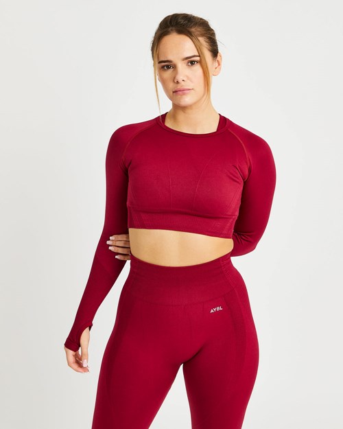 AYBL Balance V2 Seamless Long Sleeve Crop Top Rot | 62783-TCHG