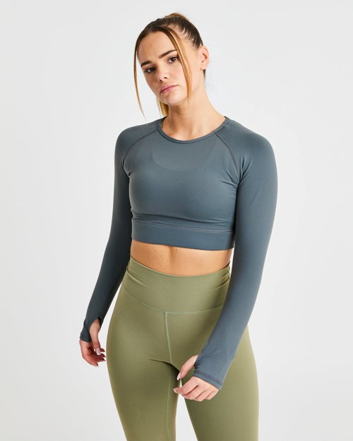 AYBL Core Long Sleeve Crop Top Grau | 74361-EINL