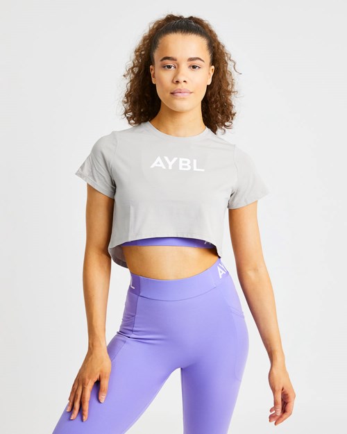 AYBL Crop T Shirt Grau | 93851-UMPH