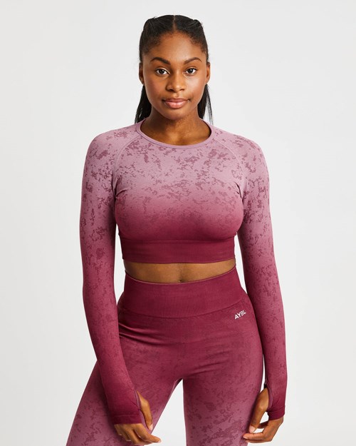 AYBL Flare Seamless Long Sleeve Crop Top Plum | 35610-AHMW