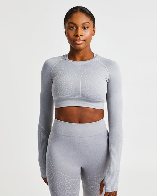 AYBL Impact Seamless Long Sleeve Crop Top Grau | 57342-VMPL