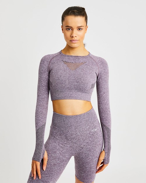 AYBL Motion Seamless Long Sleeve Crop Top Lila | 29471-JBMW