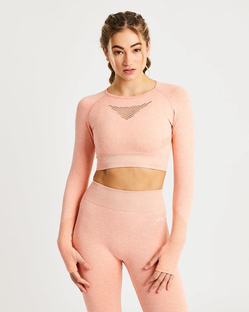 AYBL Motion Seamless Long Sleeve Crop Top Peach Marl | 94537-HPUR