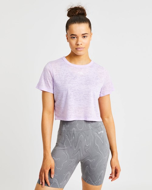 AYBL Velocity Crop T Shirt Lilac | 59421-ZYSB