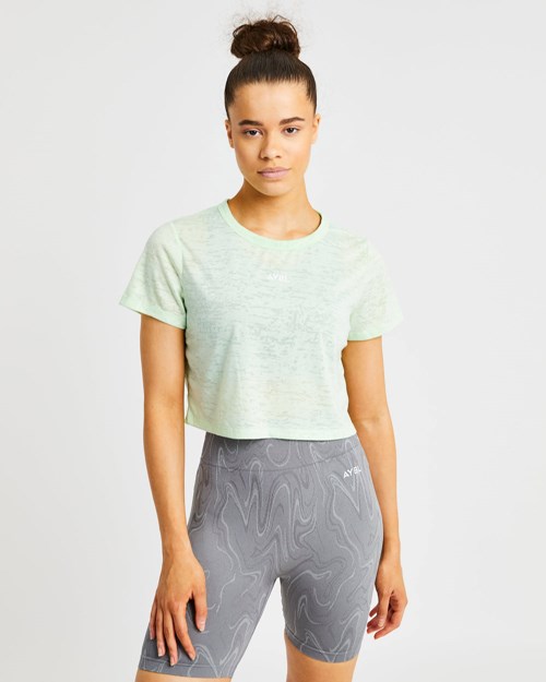 AYBL Velocity Crop T Shirt Mintfarben | 45102-KNEH