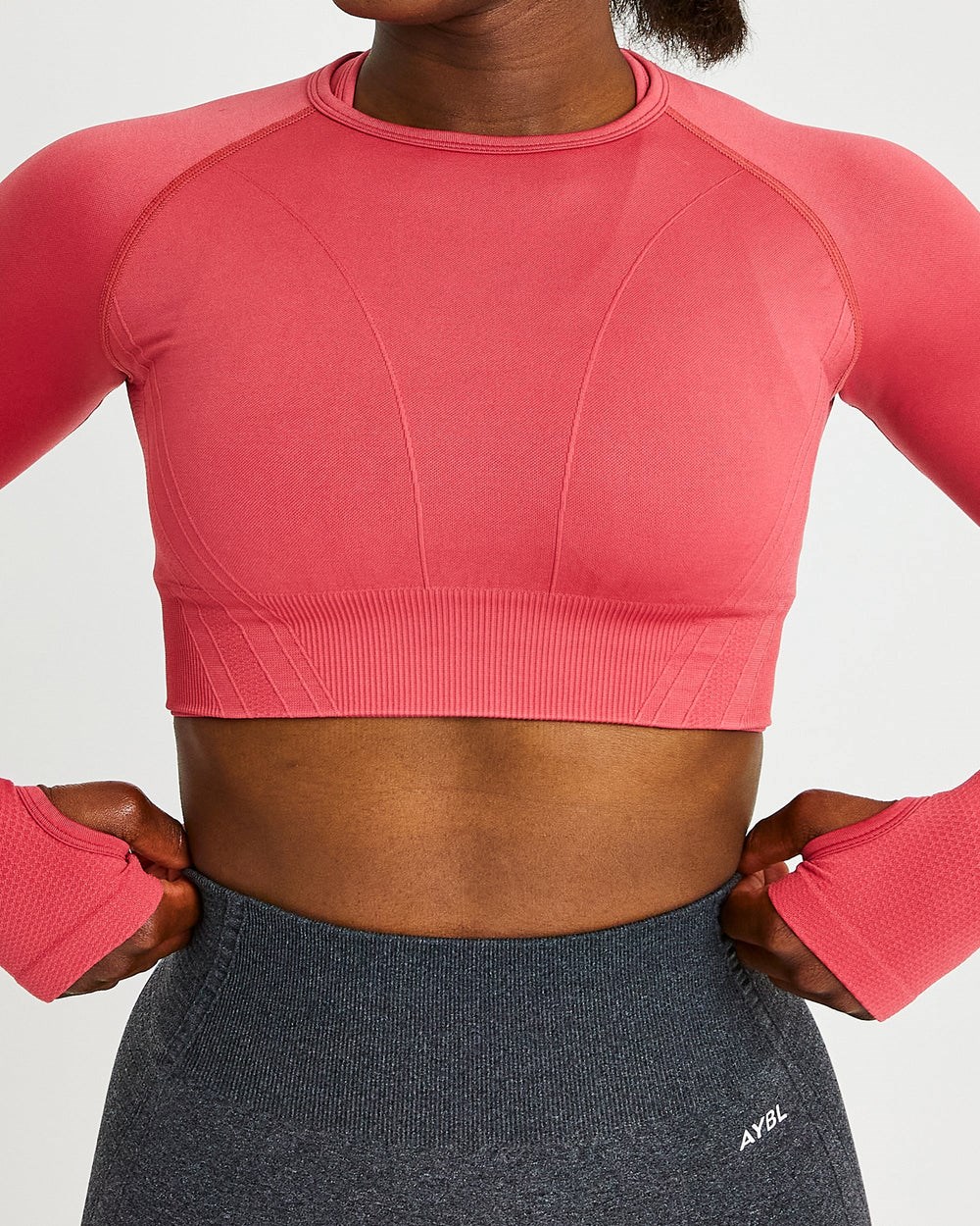 AYBL Balance V2 Seamless Long Sleeve Crop Top Rosa | 19072-RQYE