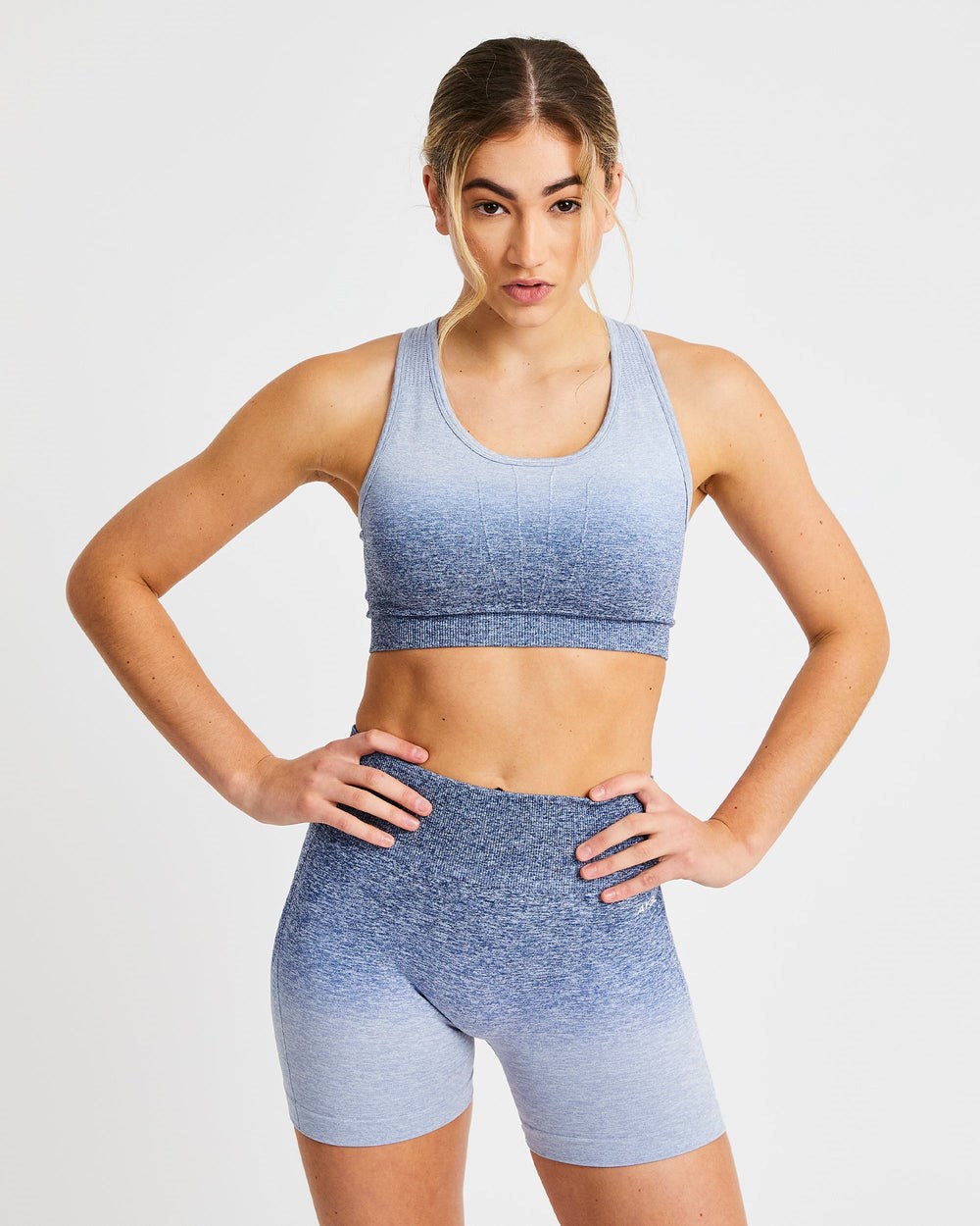 AYBL Pulse Ombré Seamless Sports Bra Navy | 37945-IWJR