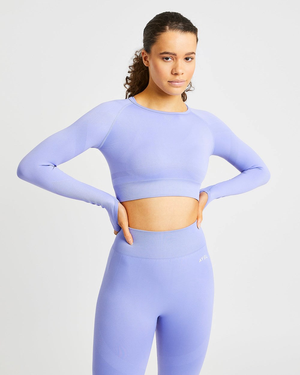 AYBL Reform Seamless Long Sleeve Crop Top Lila | 03418-NZLO